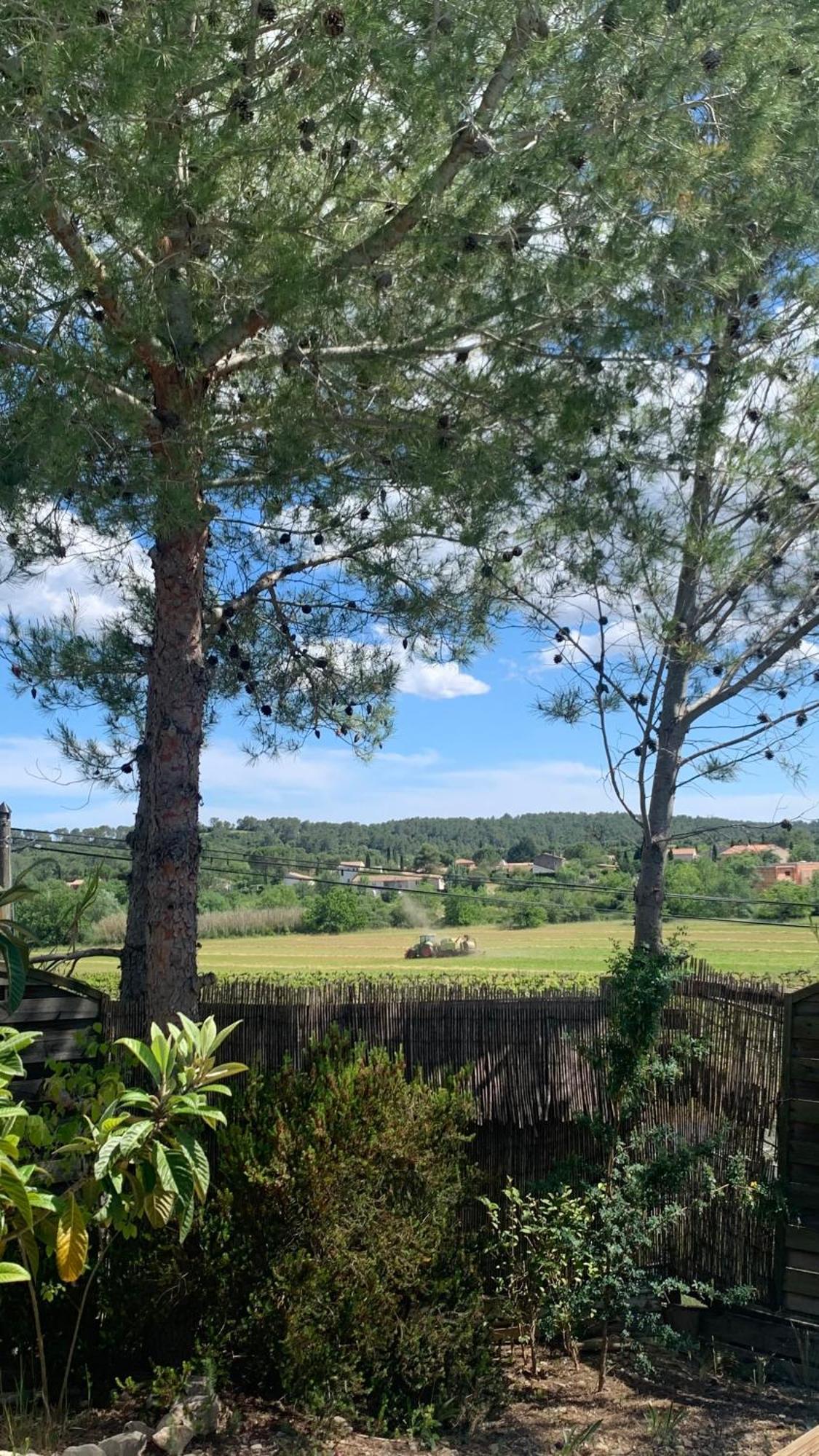 Villa En Bordure De Colline*Piscine*Clim*Netflix Les Matelles Luaran gambar